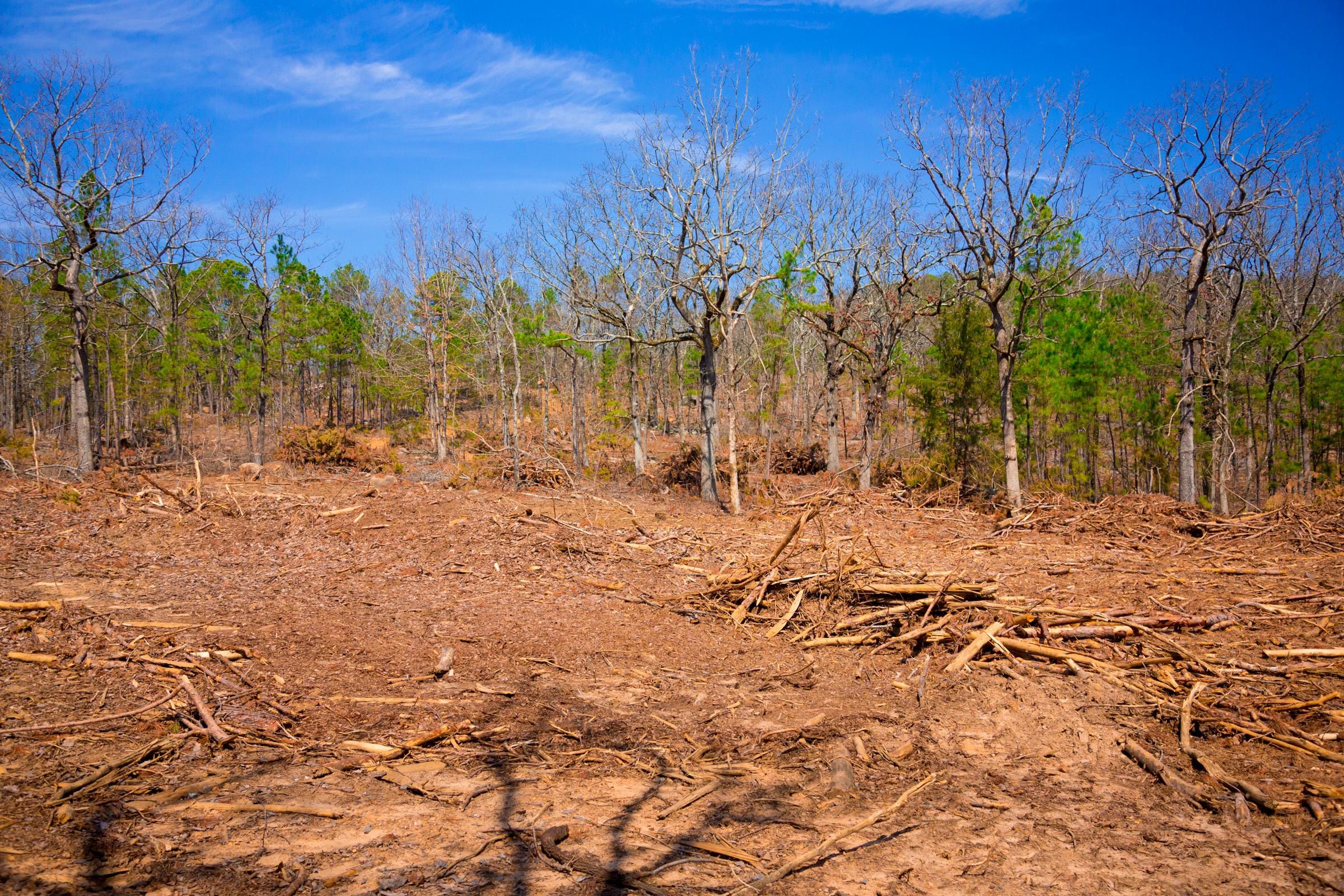 Stone Creek Phase II Tract 139 photo 9