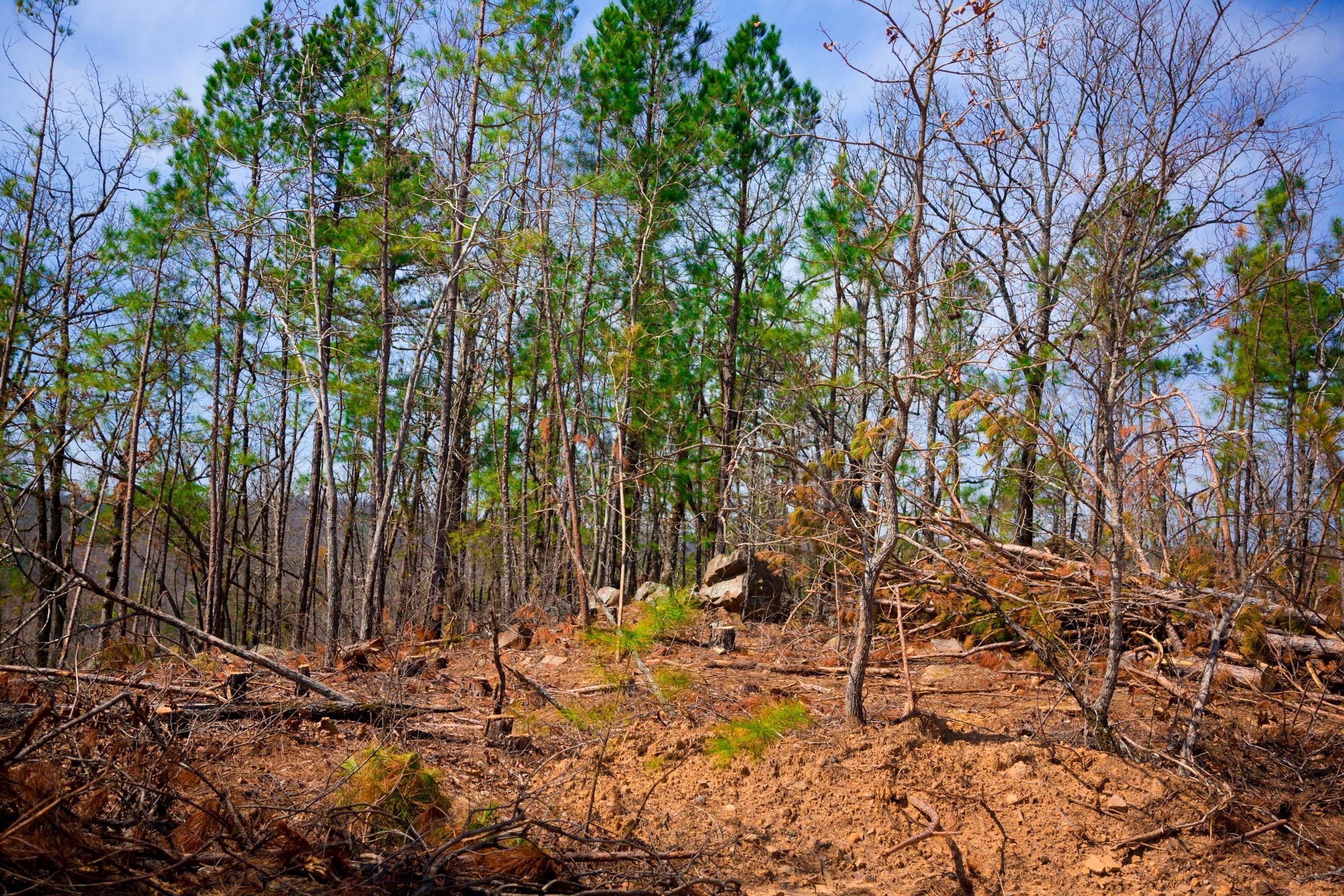 Stone Creek Phase II Tract 139 photo 10