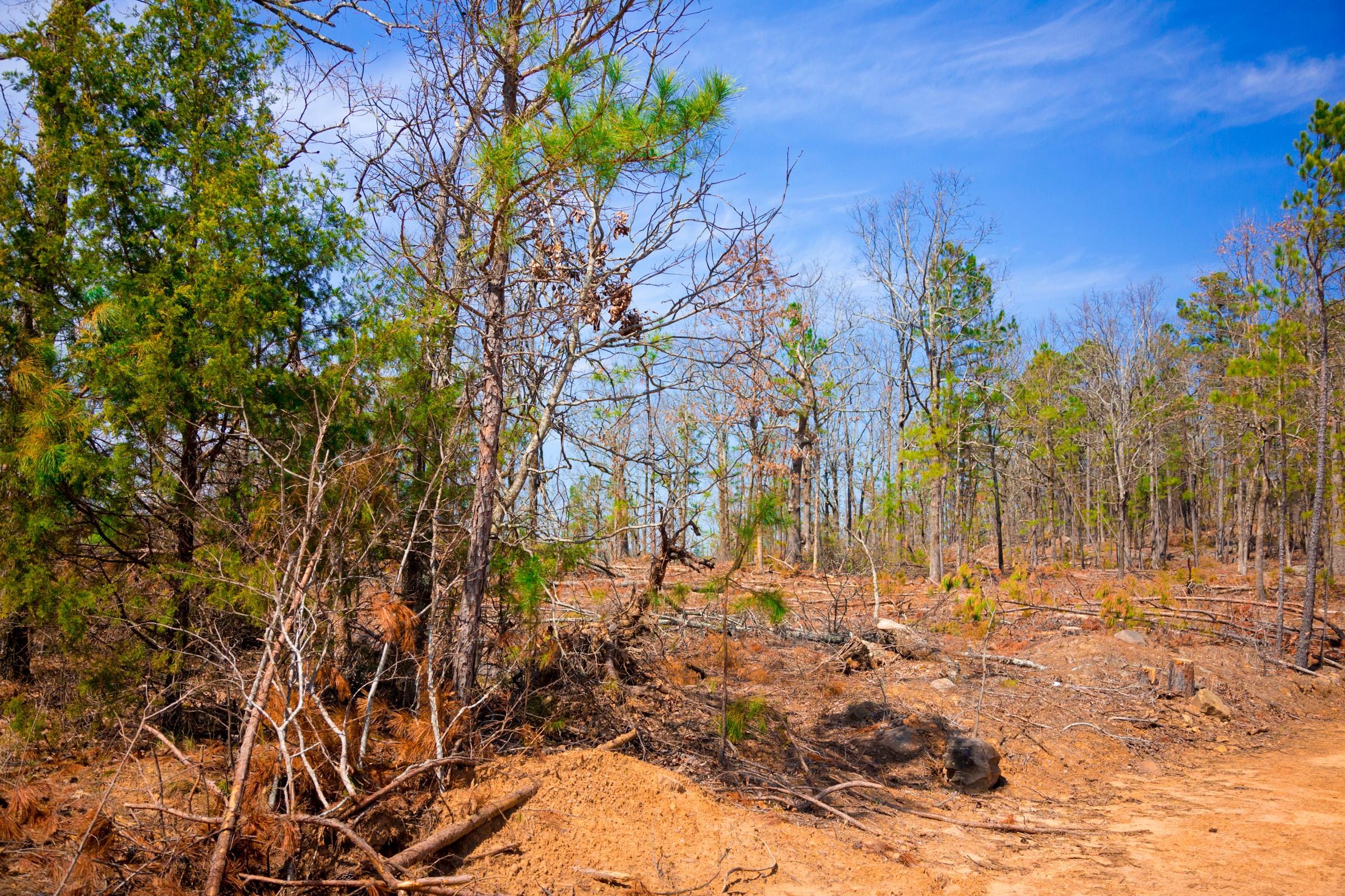 Stone Creek Phase II Tract 139 photo 11