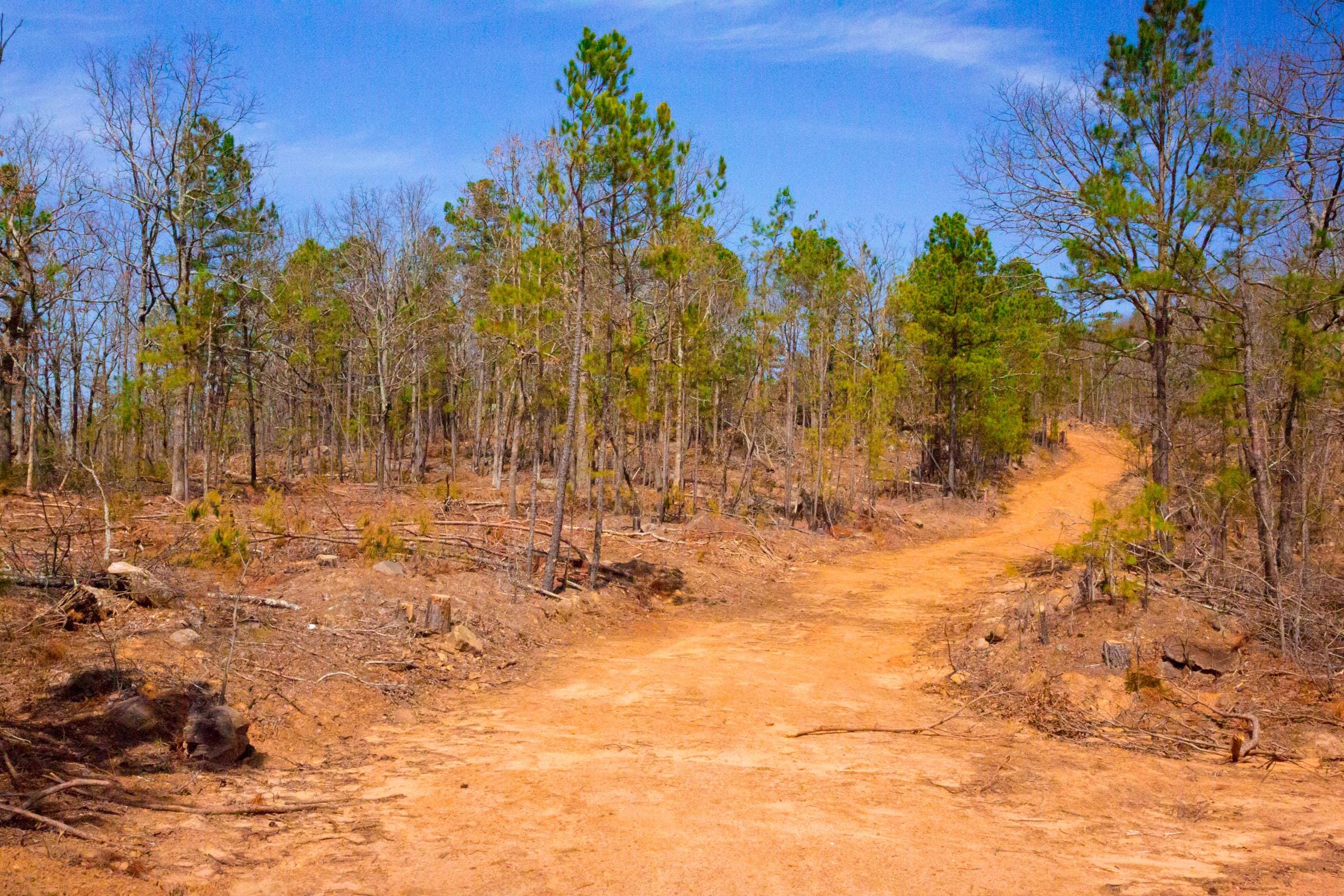 Stone Creek Phase II Tract 139 photo 12