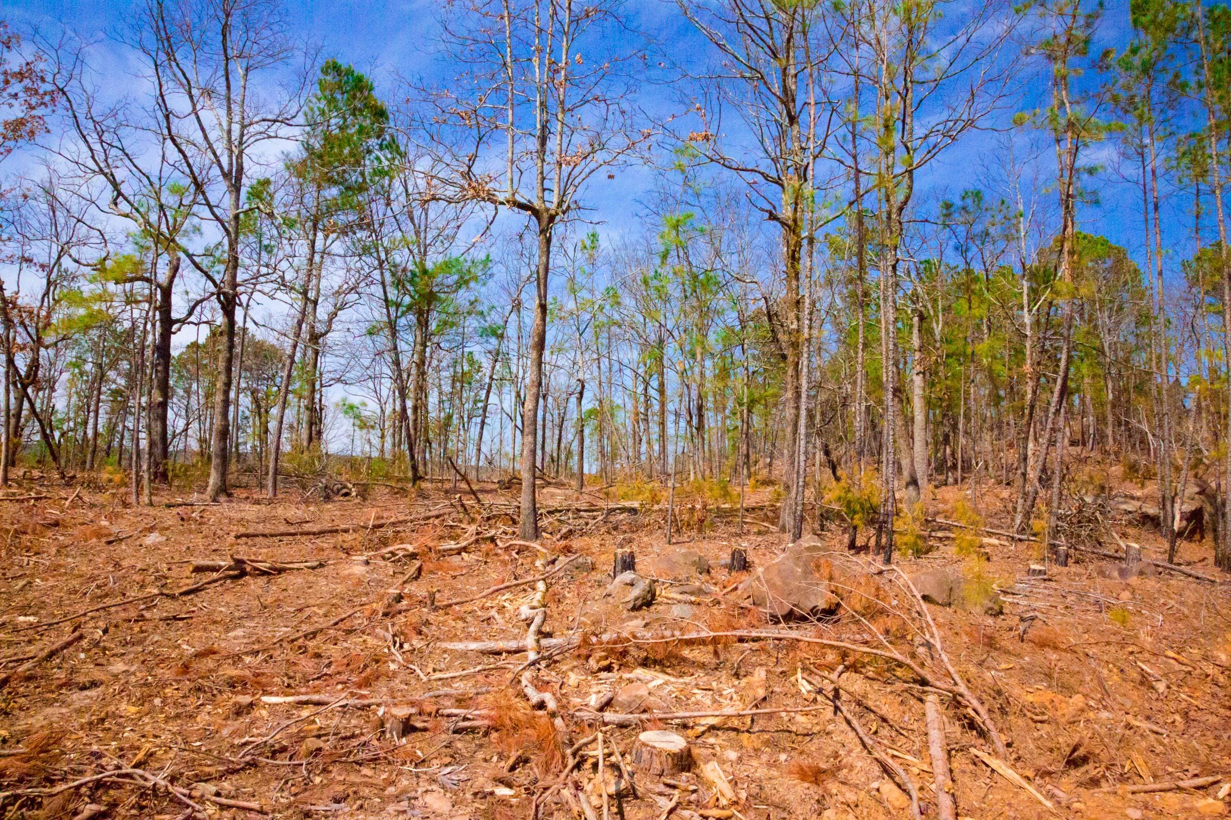 Stone Creek Phase II Tract 139 photo 13