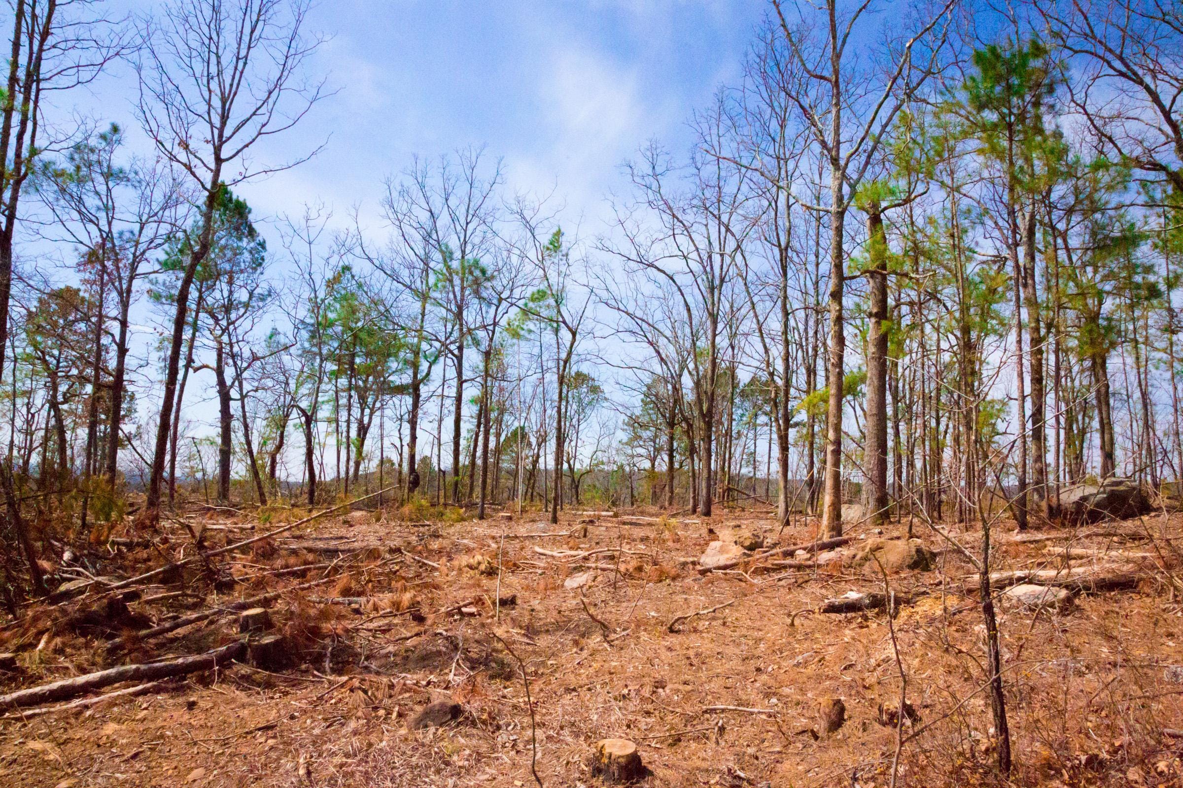 Stone Creek Phase II Tract 139 photo 14