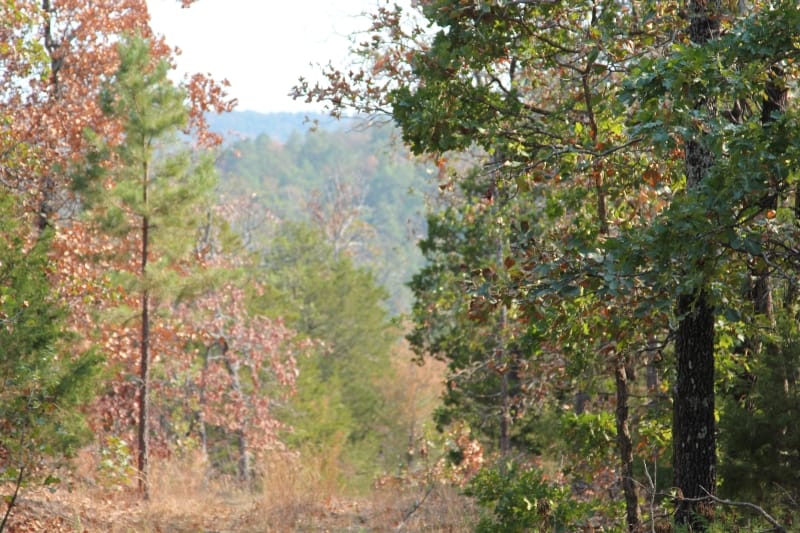 Lake View Ranch Tract 13 photo 1