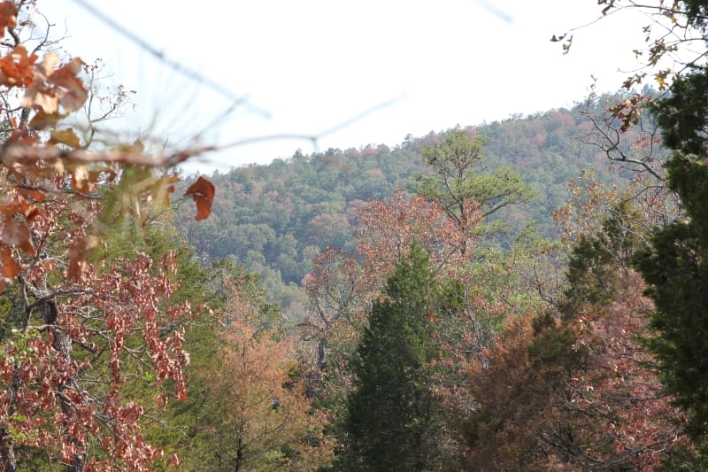 Lake View Ranch Tract 13 photo 3