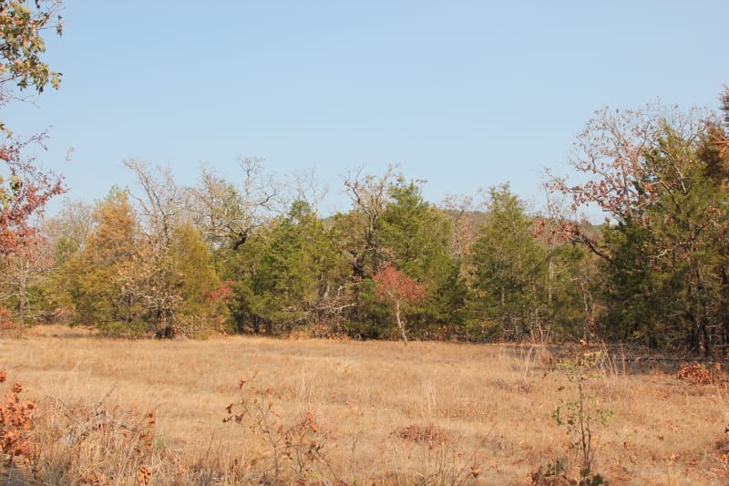 Lake View Ranch Tract 13 photo 4