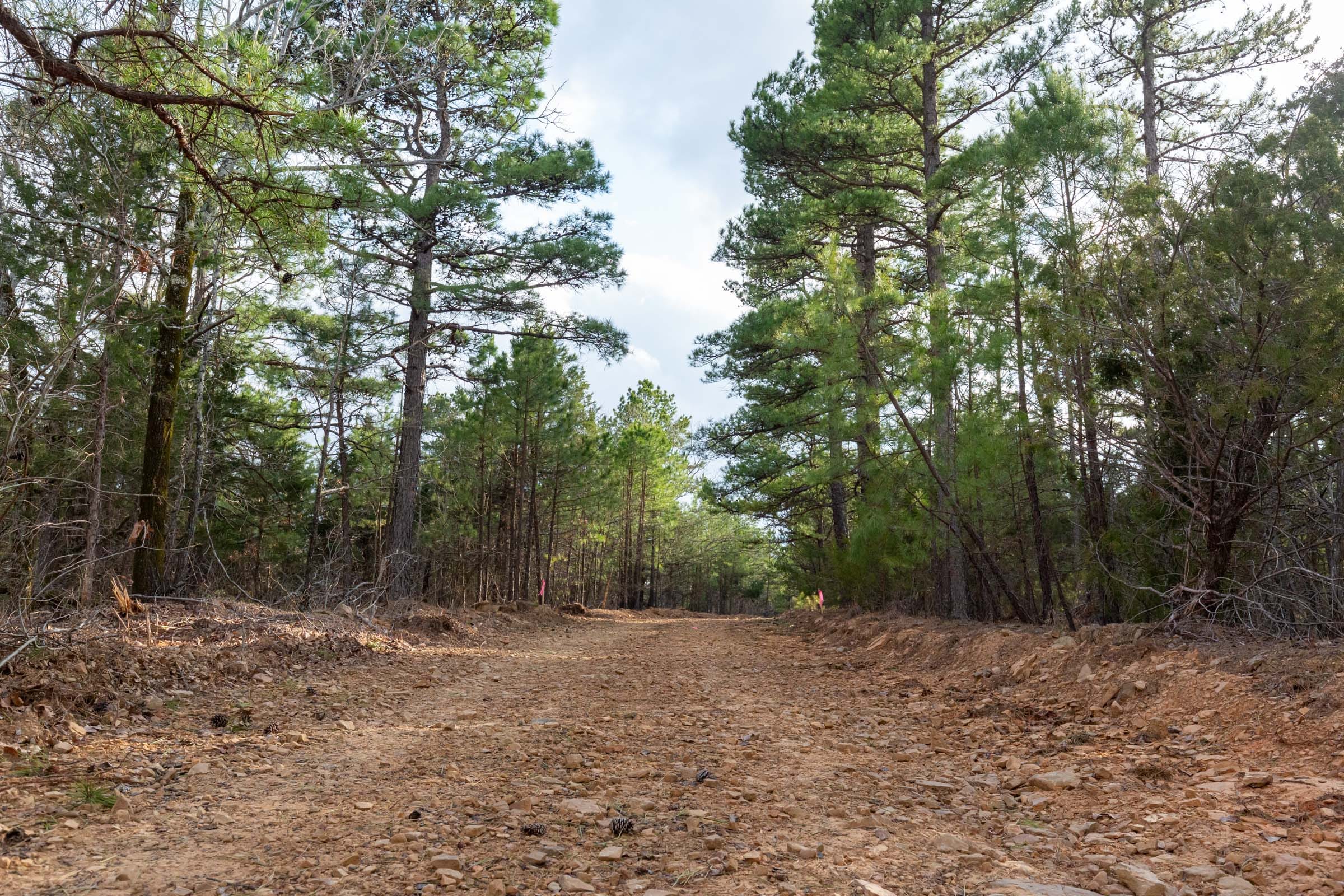 Stone Bridge Phase III Tract 178 photo 1