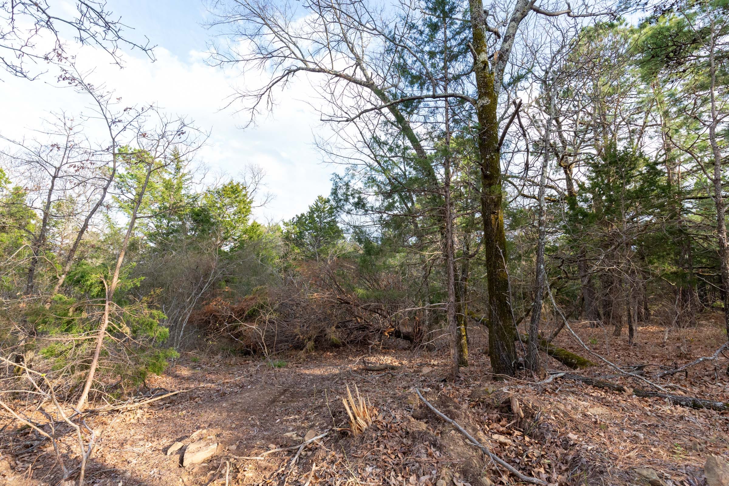 Stone Bridge Phase III Tract 178 photo 3
