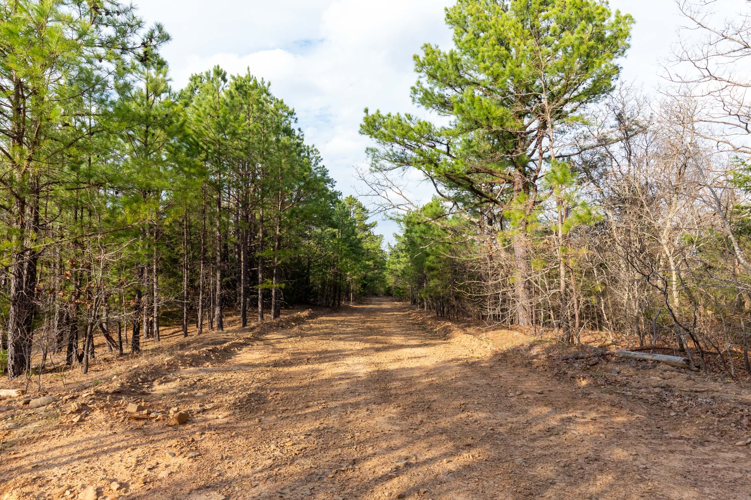 Stone Bridge Phase III Tract 178 photo 5
