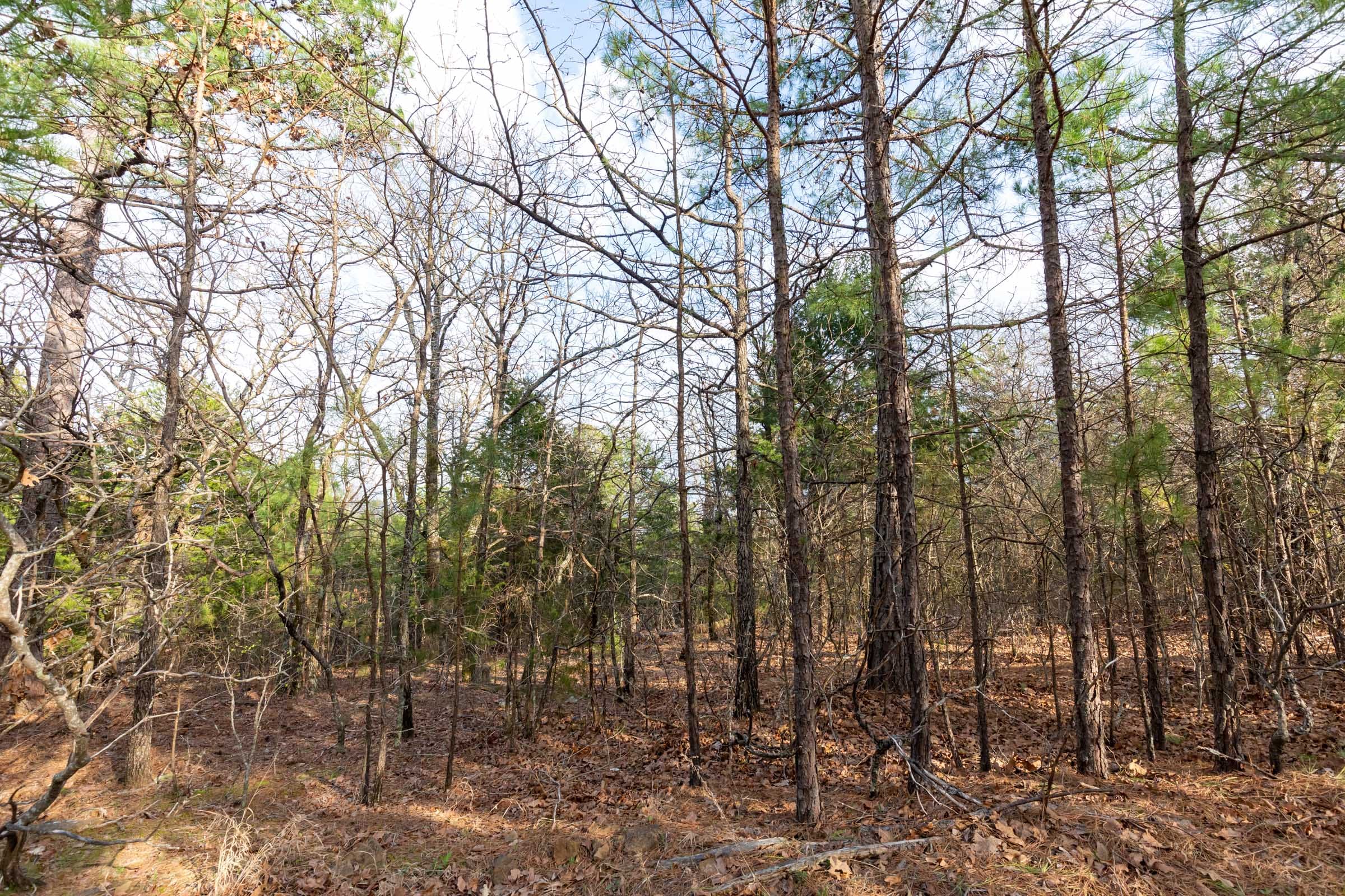 Stone Bridge Phase III Tract 178 photo 2