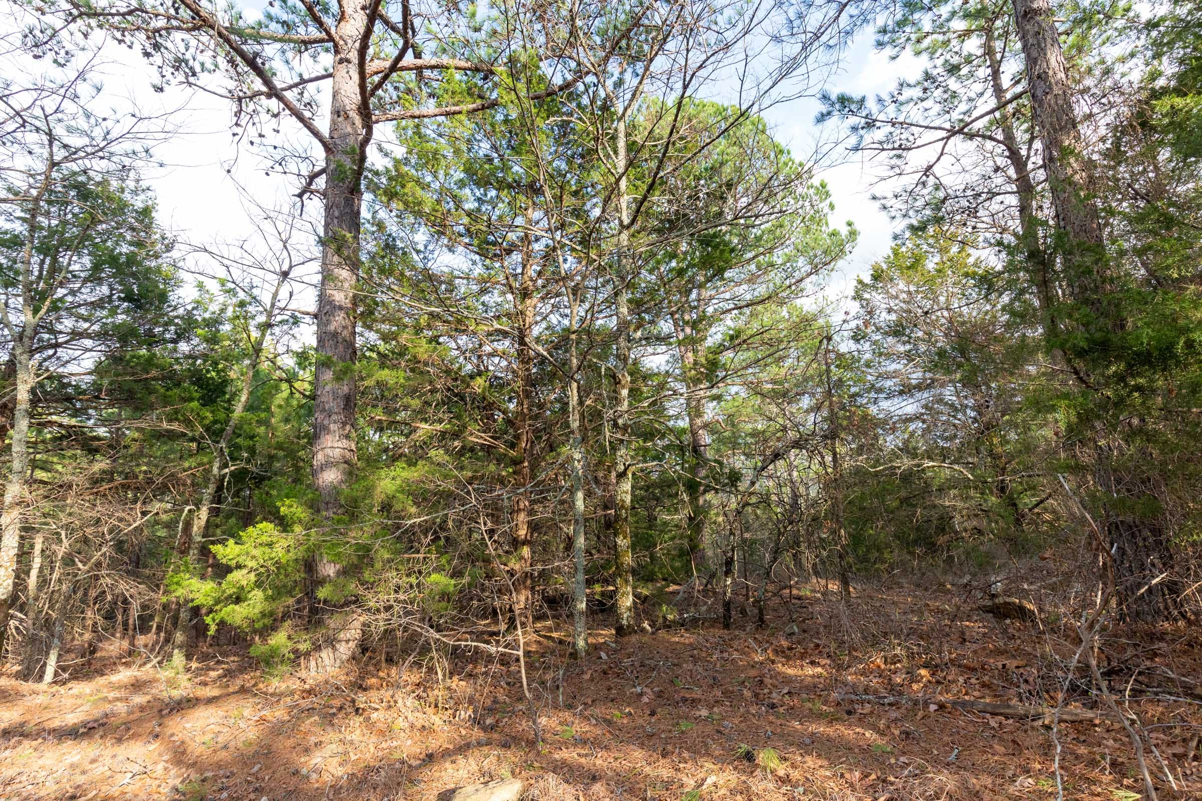 Stone Bridge Phase III Tract 178 photo 6
