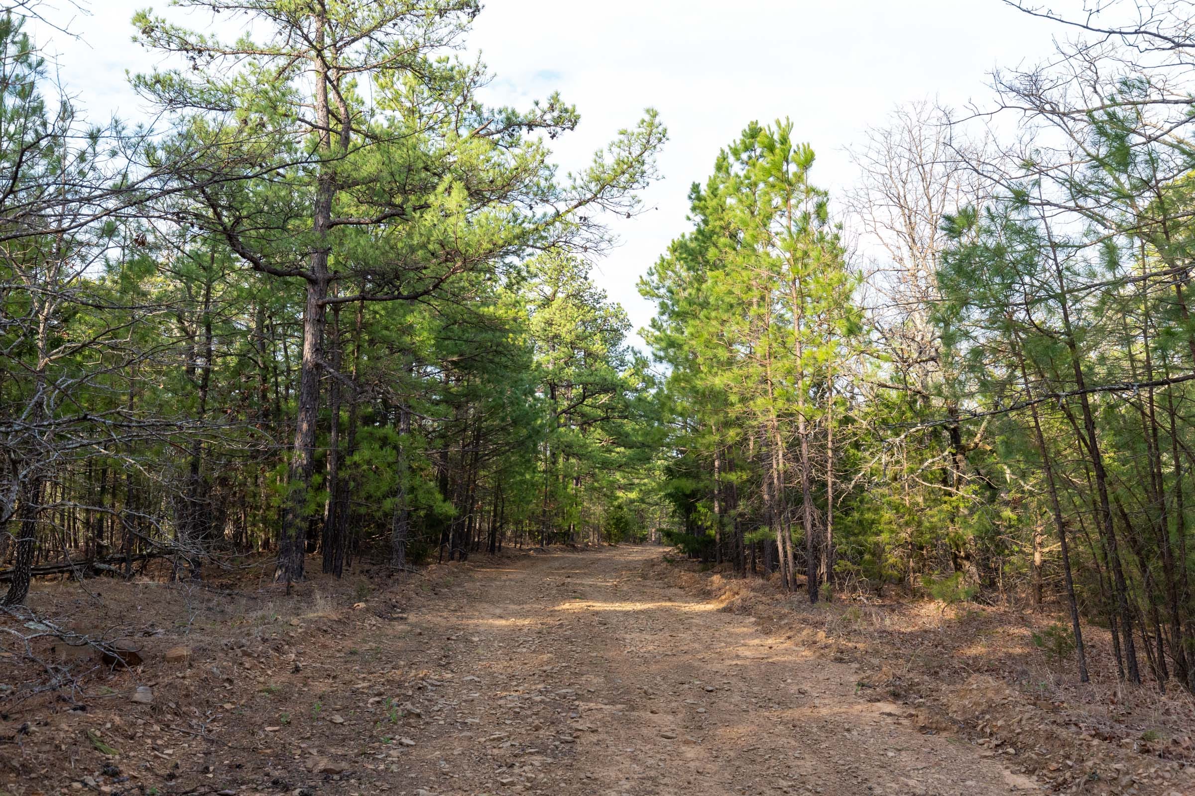 Stone Bridge Phase III Tract 178 photo 8