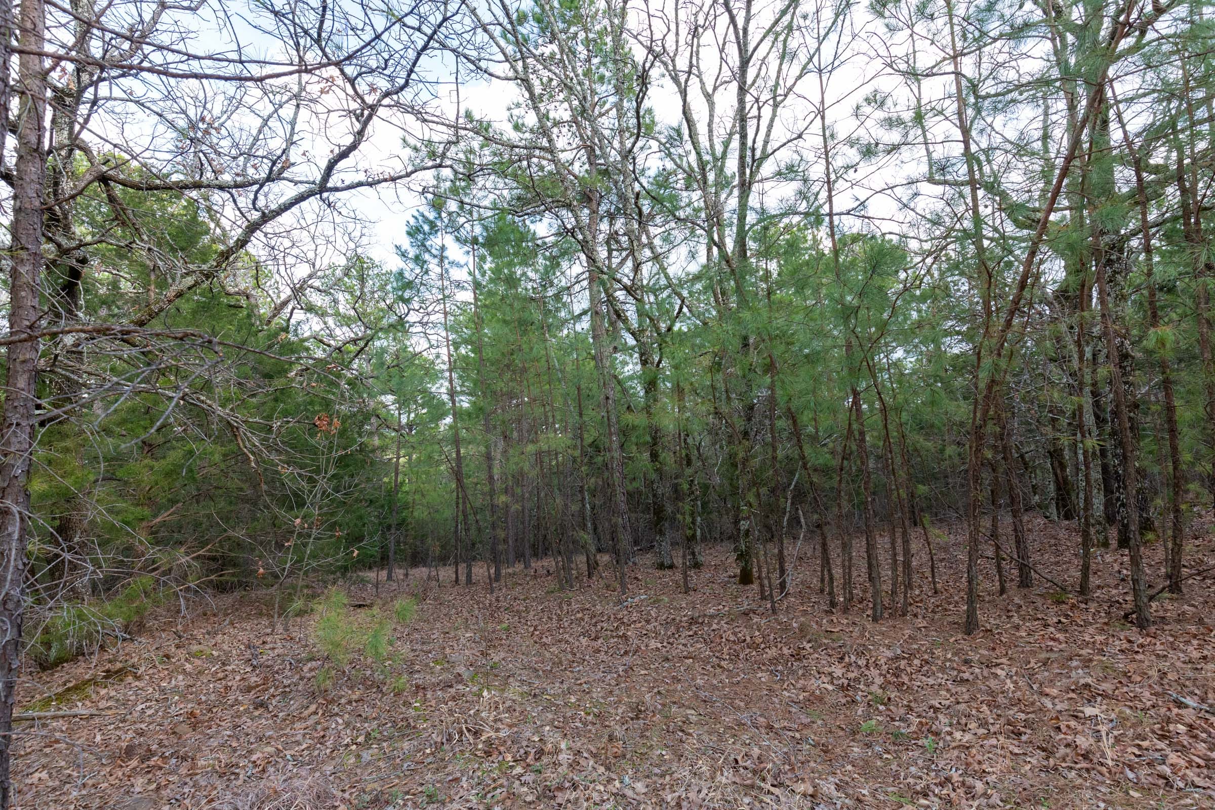 Stone Bridge Phase III Tract 178 photo 10