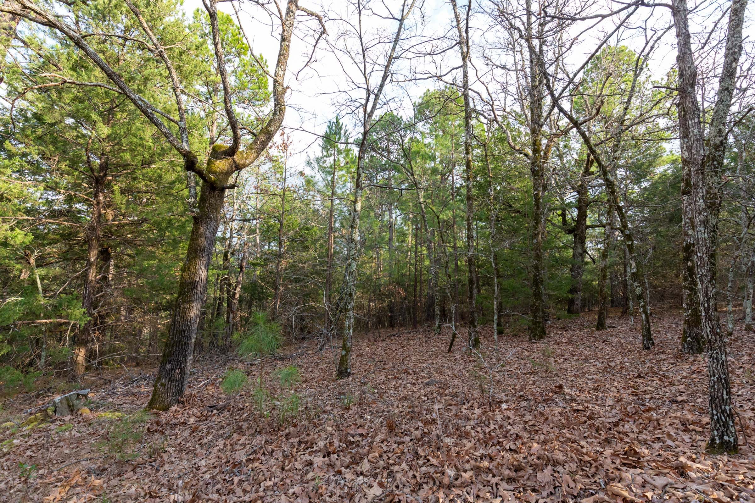 Stone Bridge Phase III Tract 178 photo 12