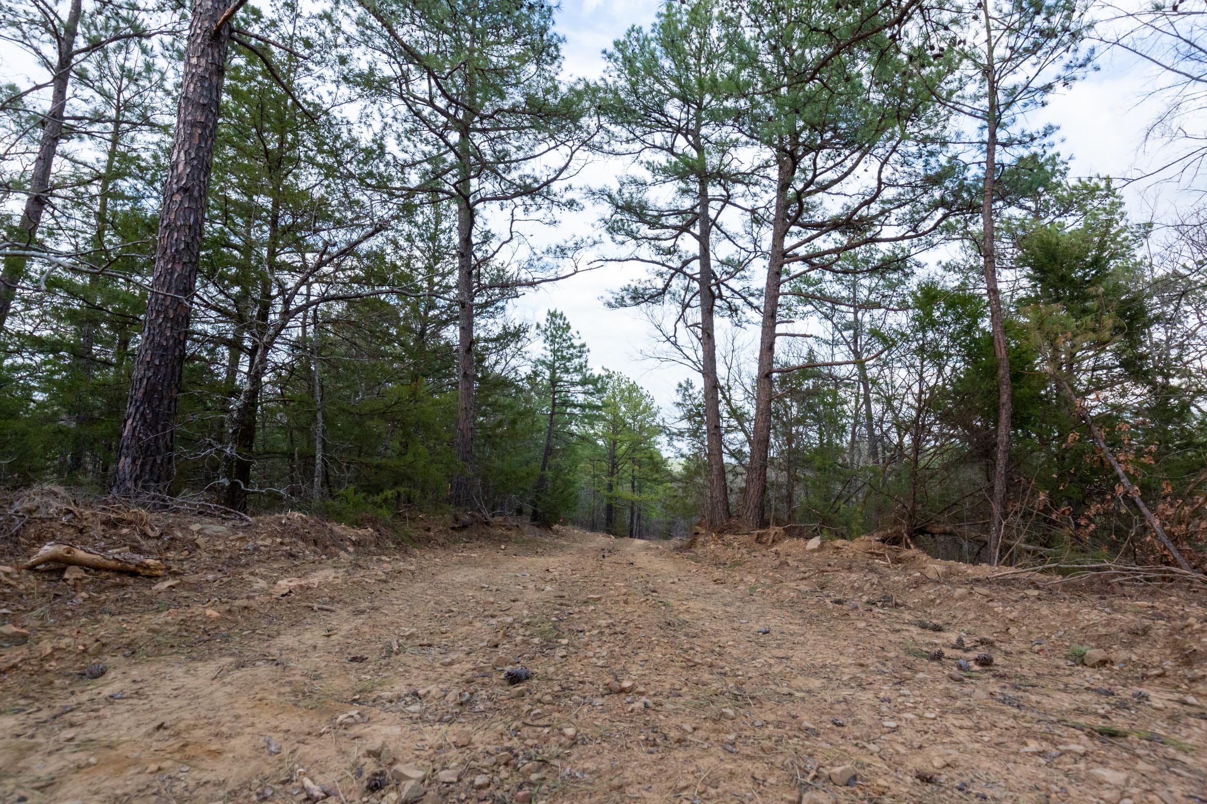 Stone Bridge Phase III Tract 178 photo 11