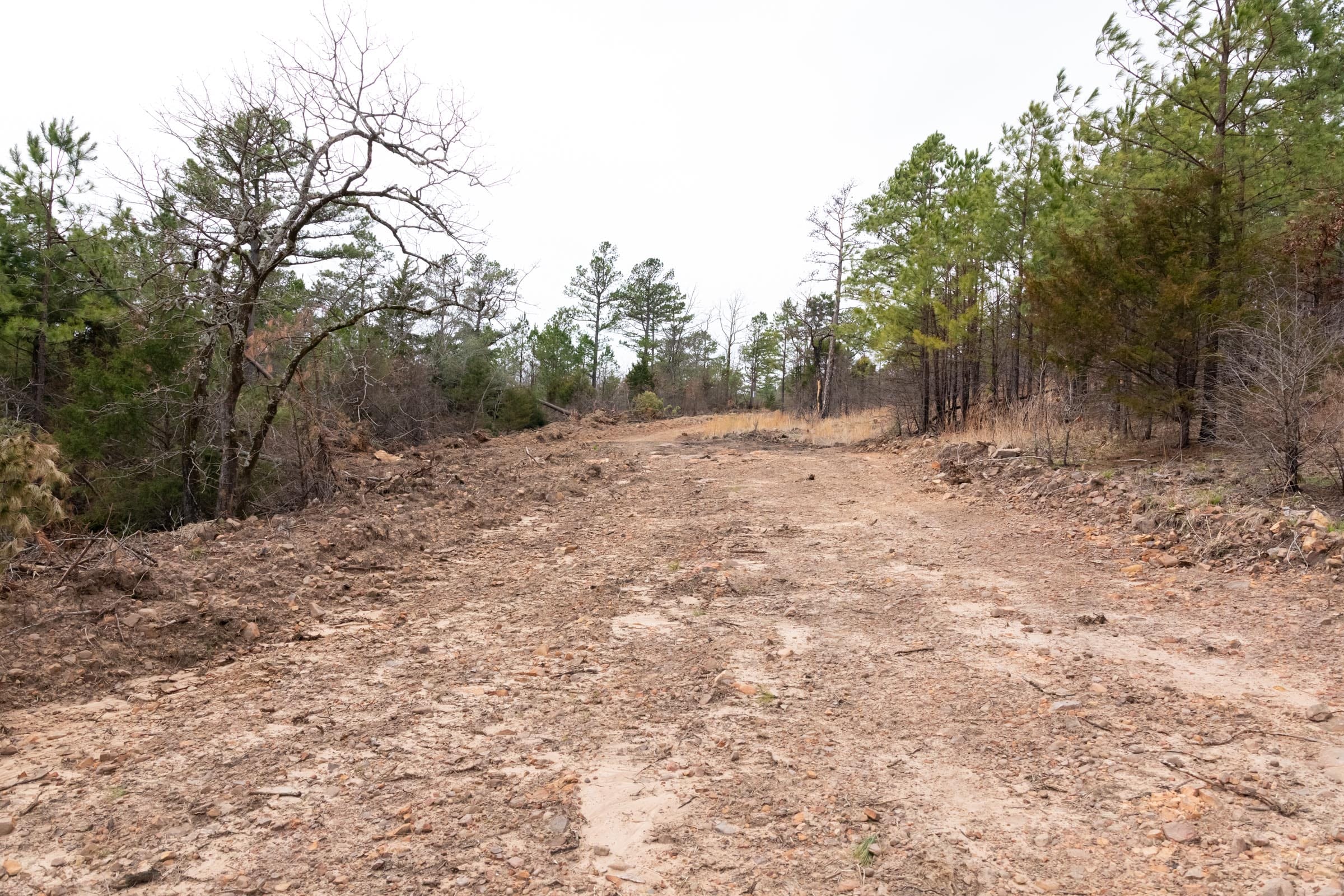 Stone Bridge Phase III Tract 203 photo 11