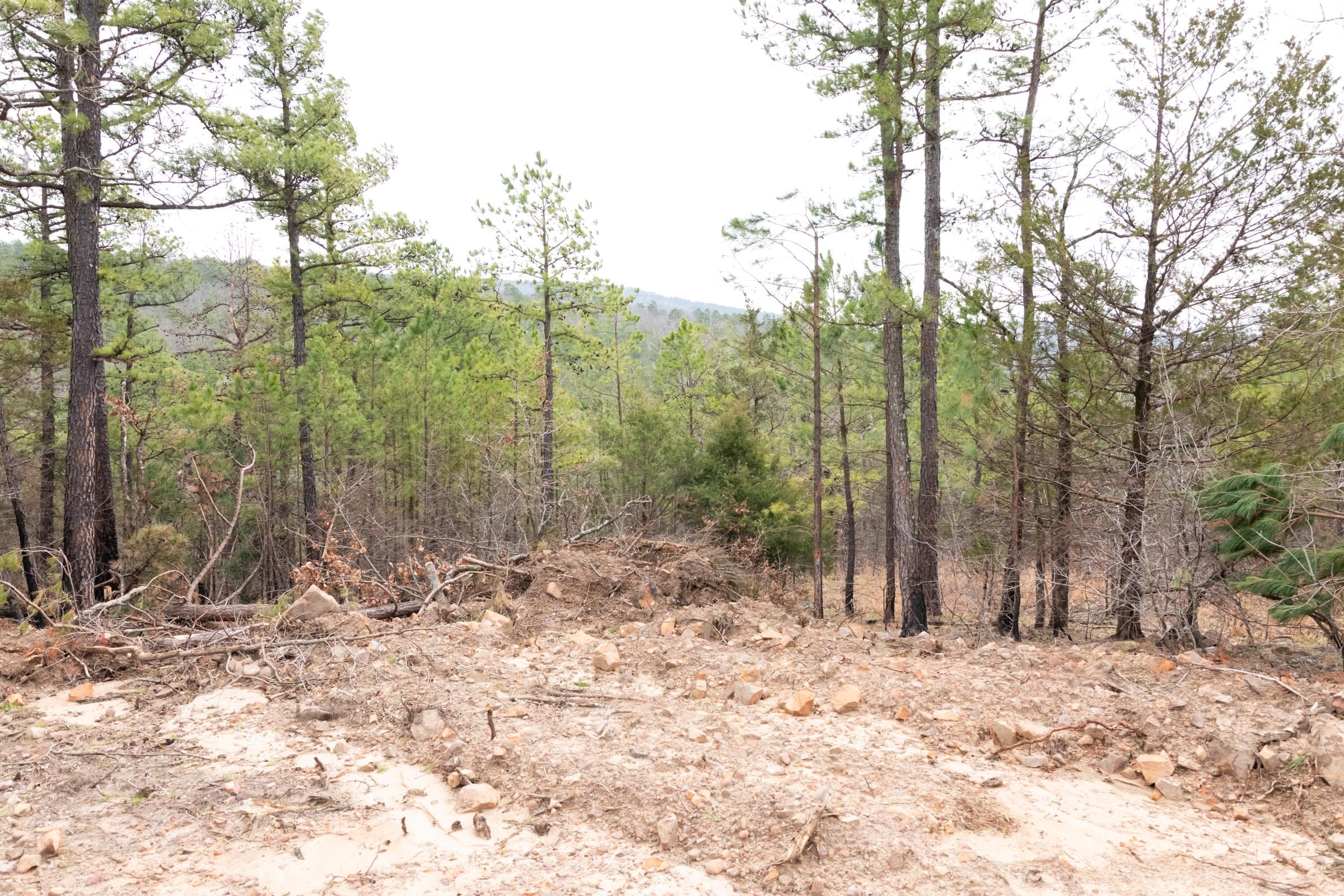 Stone Bridge Phase III Tract 203 photo 12
