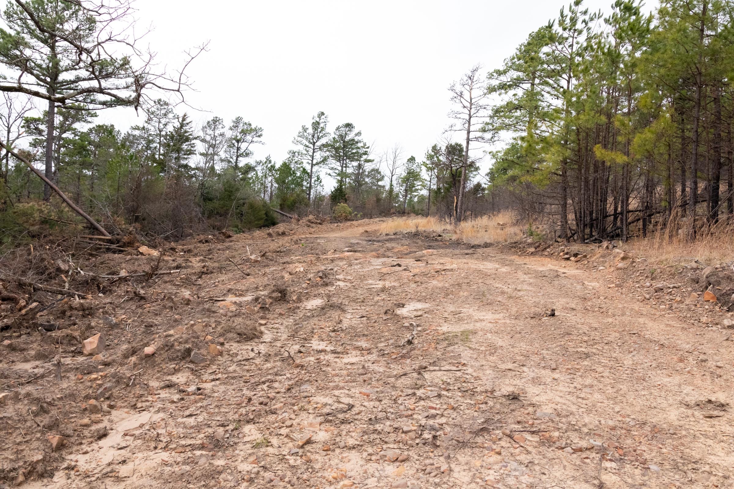 Stone Bridge Phase III Tract 203 photo 13