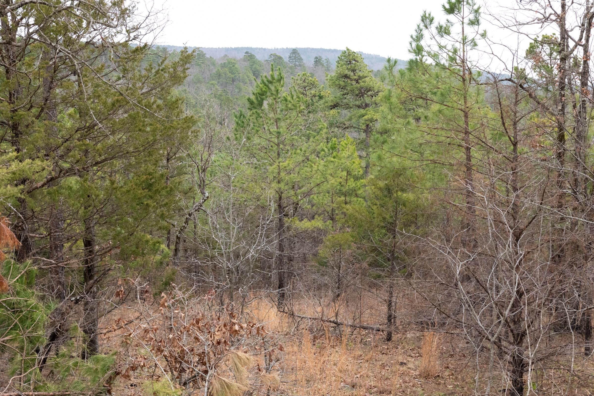 Stone Bridge Phase III Tract 203 photo 14