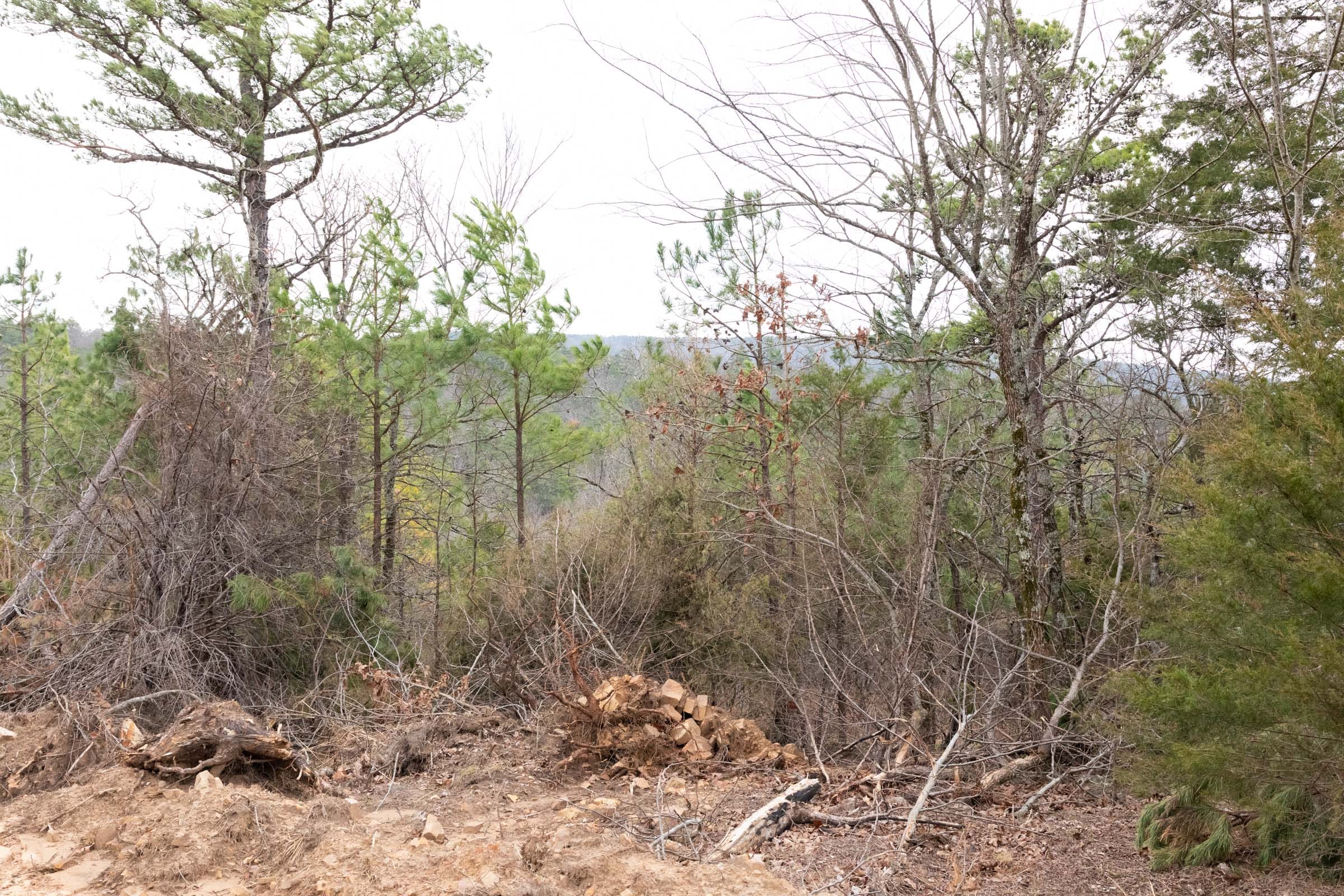 Stone Bridge Phase III Tract 203 photo 15