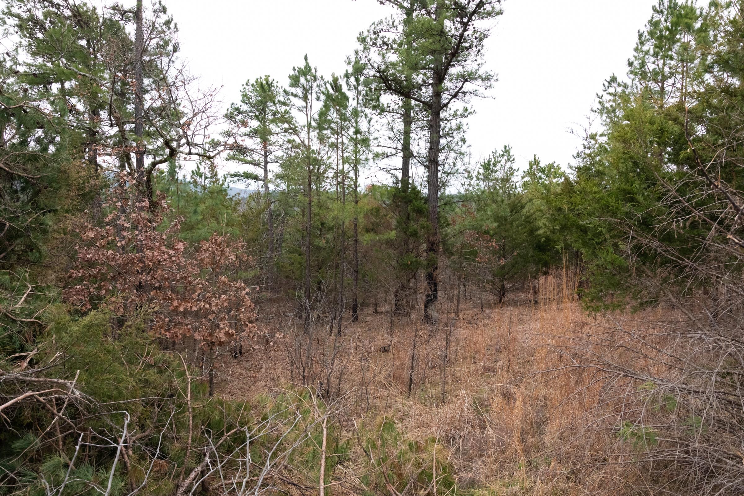 Stone Bridge Phase III Tract 203 photo 16