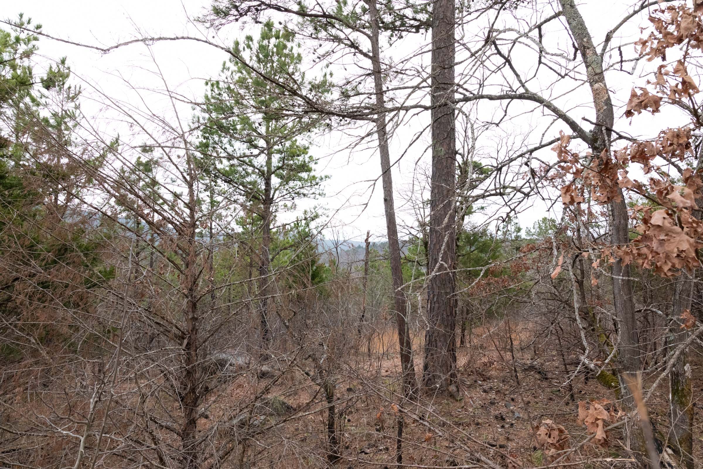 Stone Bridge Phase III Tract 203 photo 17