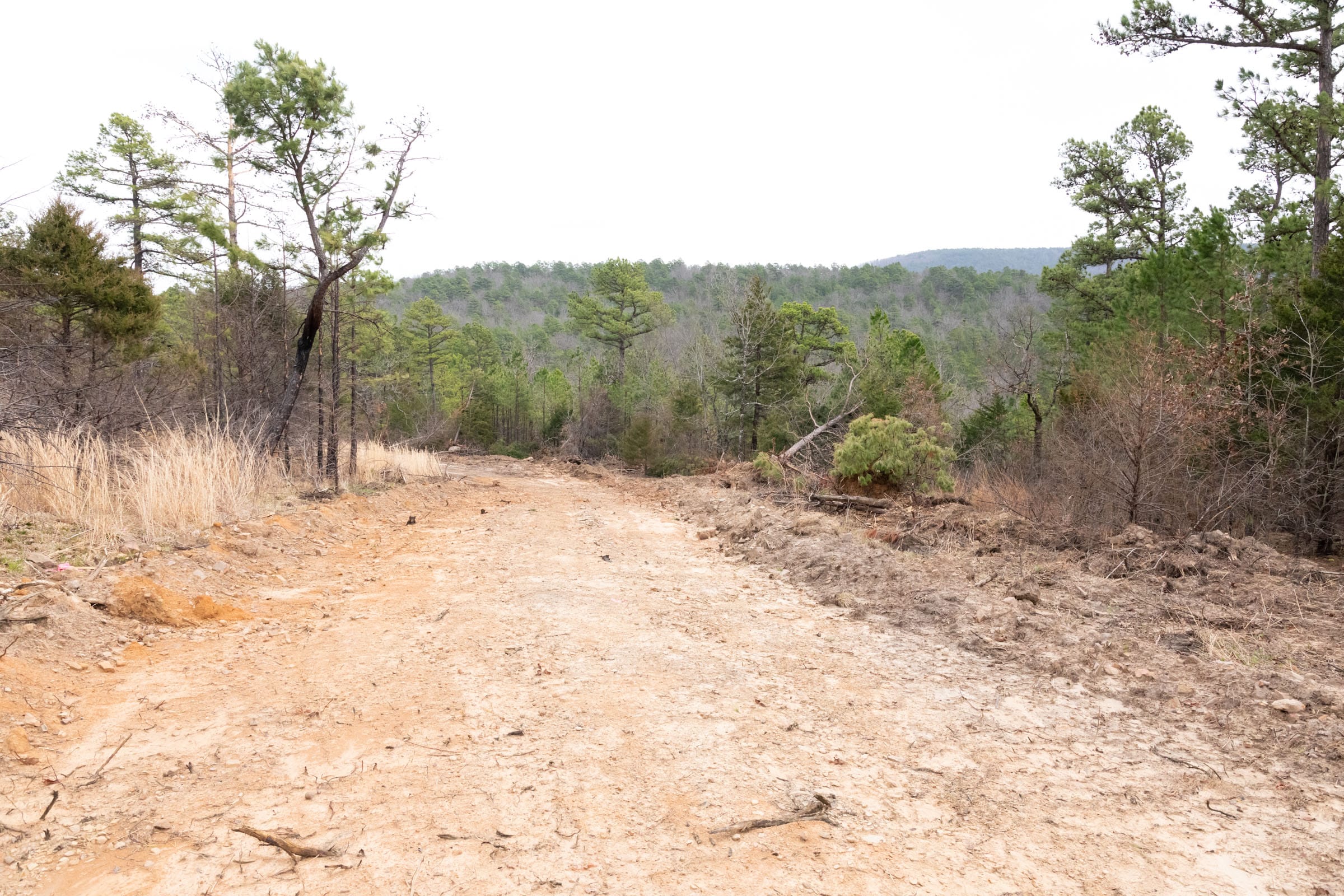 Stone Bridge Phase III Tract 203 photo 18
