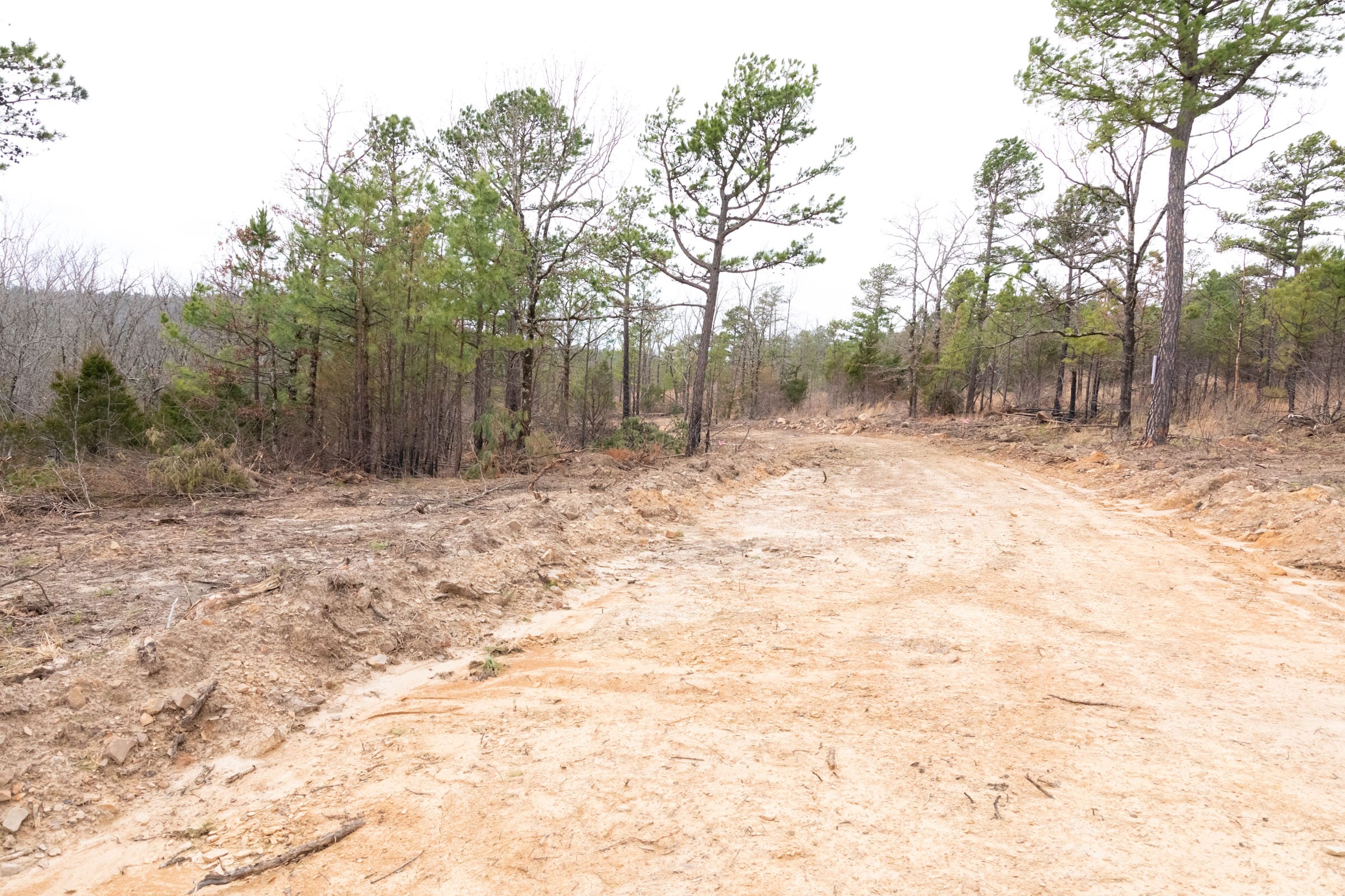 Stone Bridge Phase III Tract 203 photo 19