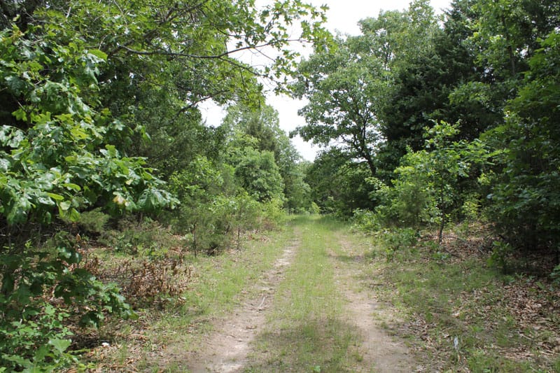 Cedar Ridge Ranch Tract 19 photo 1