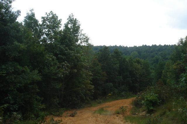 Sugartree Falls Tract 24 photo 1