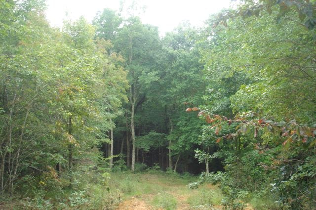 Sugartree Falls Tract 24 photo 2