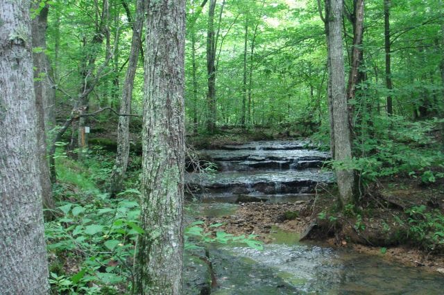 Sugartree Falls Tract 24 photo 3