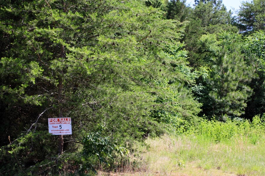Hickory Hill Ranch Tract 5 photo 1