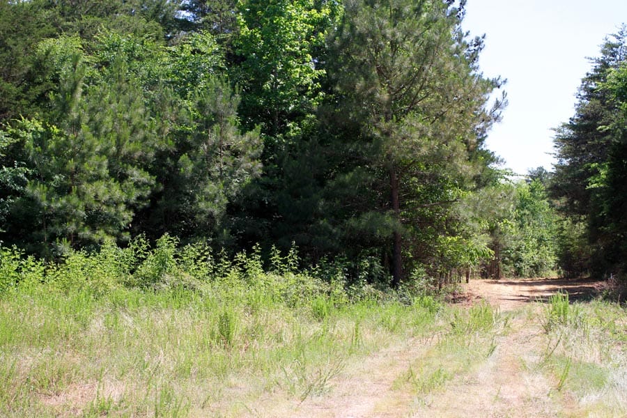 Hickory Hill Ranch Tract 5 photo 11