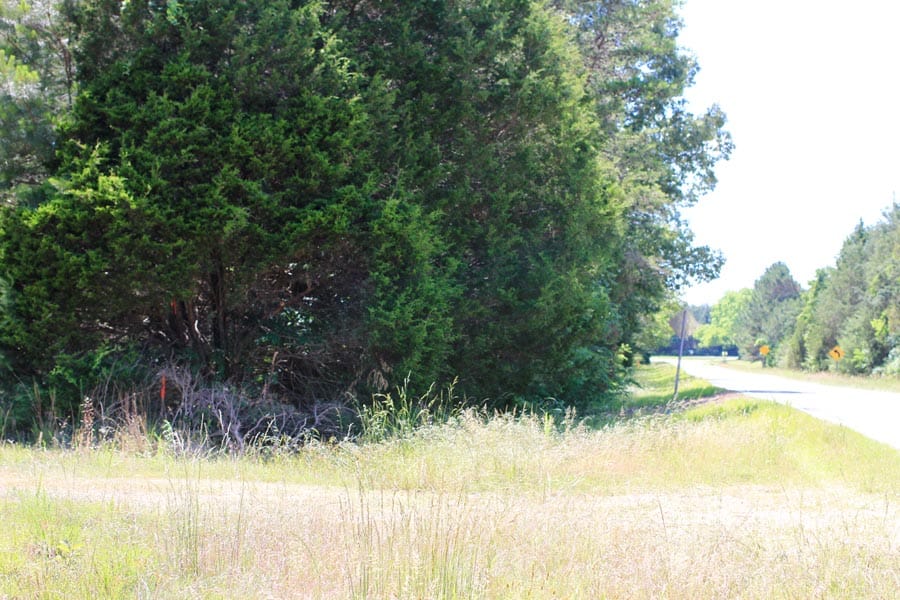 Hickory Hill Ranch Tract 5 photo 3