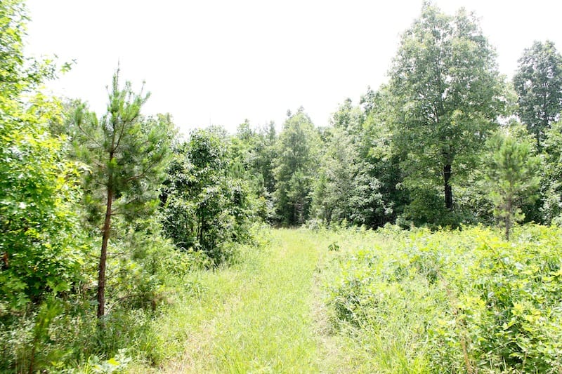 Green Mountain Ranch Tract 45 photo 1