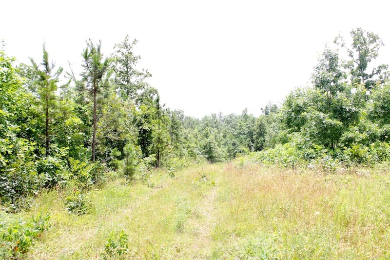 Green Mountain Ranch Tract 45 photo 9