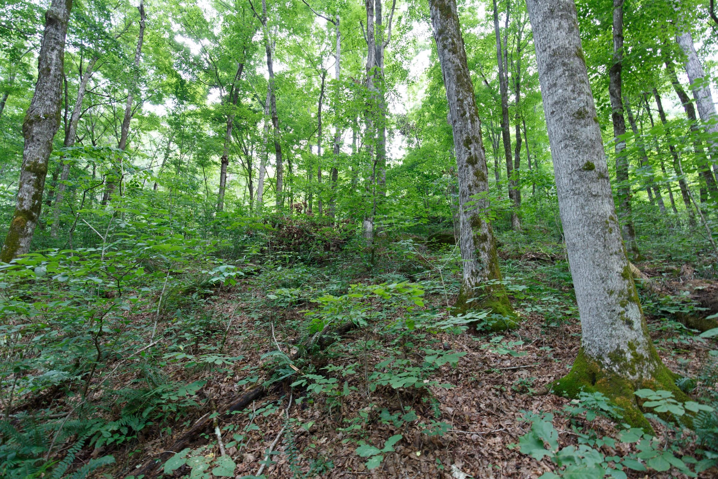 Rolling Hills Tract 12 photo 1