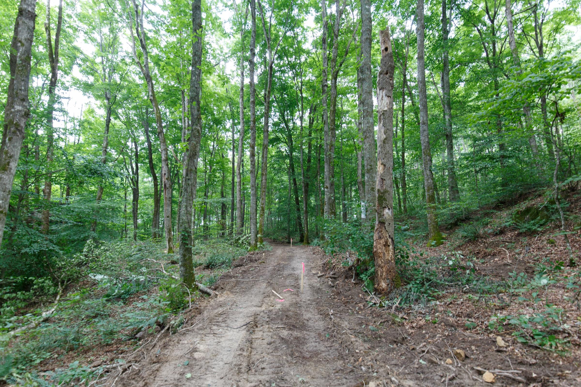 Rolling Hills Tract 12 photo 3