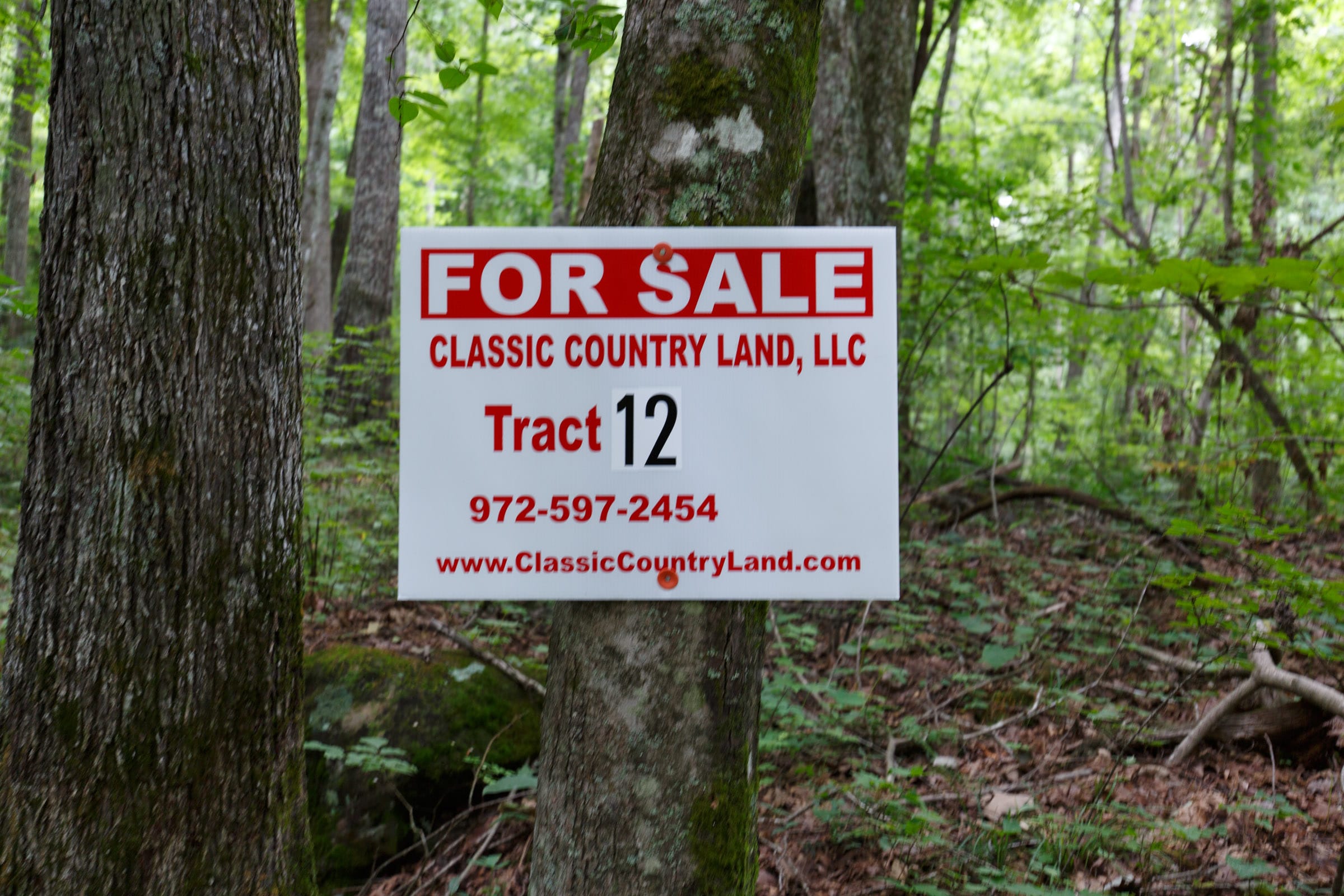 Rolling Hills Tract 12 photo 2