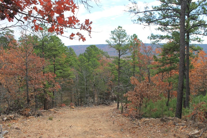 Indian Ridge – Phase I Tract 8 photo 1