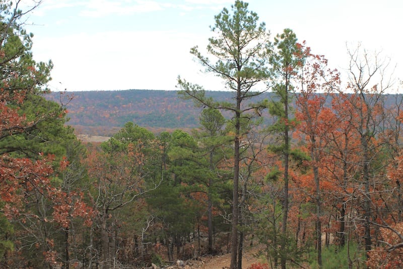 Indian Ridge – Phase I Tract 8 photo 3