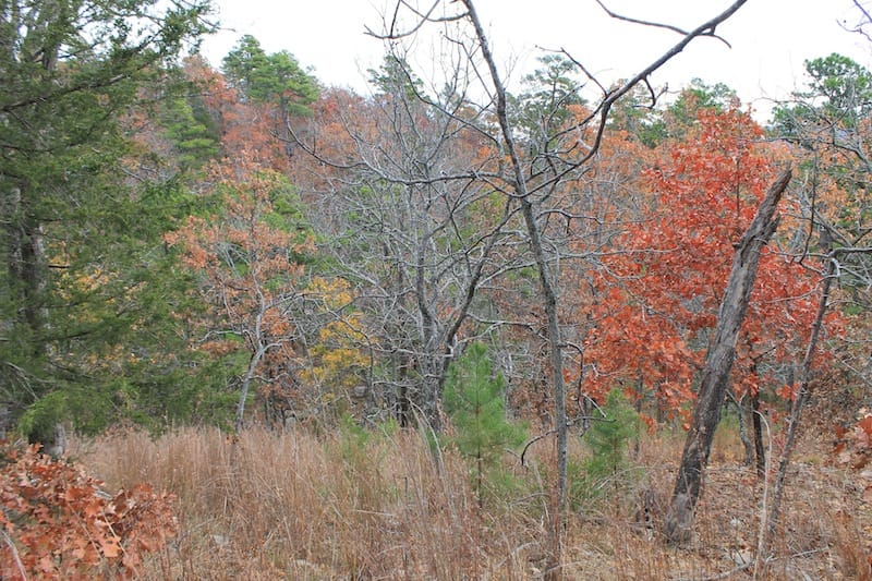Indian Ridge – Phase I Tract 8 photo 4