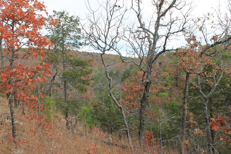 Indian Ridge – Phase I Tract 8 photo 5
