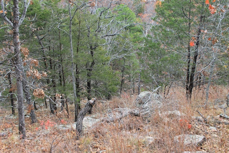 Indian Ridge – Phase I Tract 8 photo 6
