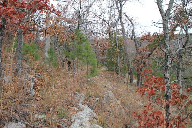 Indian Ridge – Phase I Tract 8 photo 7
