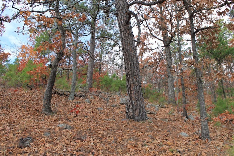 Indian Ridge – Phase I Tract 8 photo 8