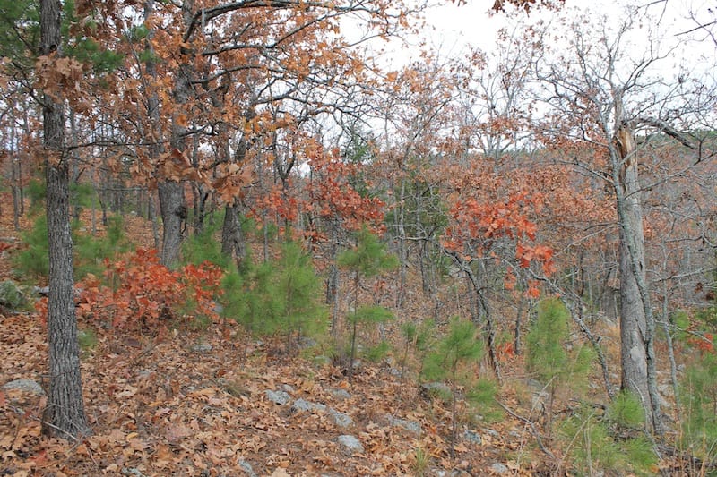 Indian Ridge – Phase I Tract 8 photo 9
