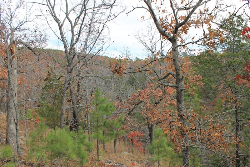 Indian Ridge – Phase I Tract 8 photo 10
