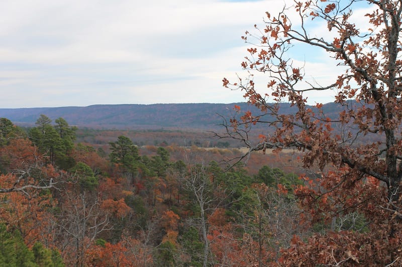 Indian Ridge – Phase I Tract 8 photo 12