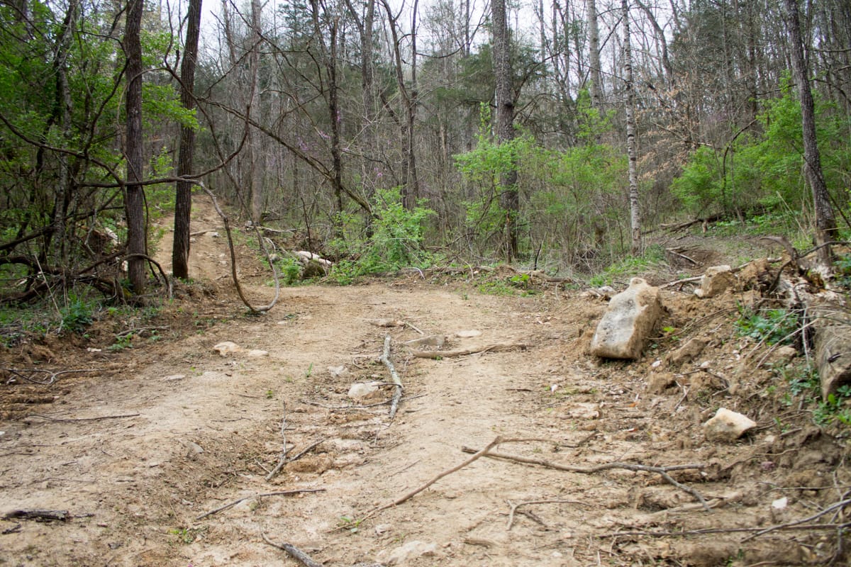 Chestnut Oak Ridge Tract 5 photo 2